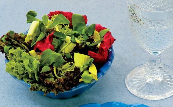 Salada de folhas e erva-doce