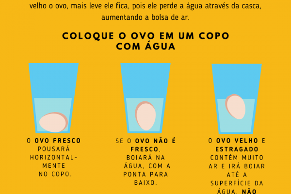 Dica do dia | Como saber se o ovo está fresco?