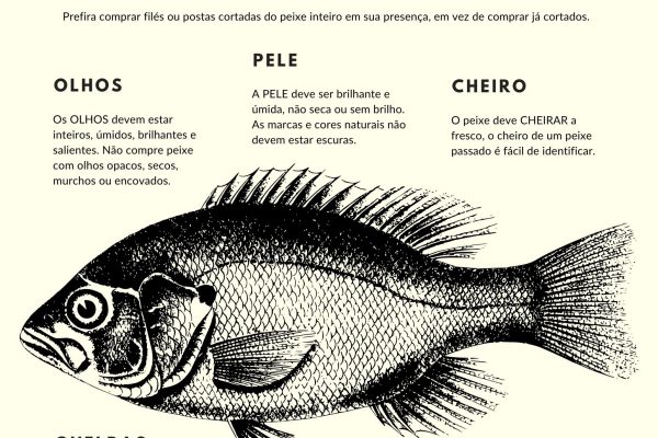 Como saber se o peixe está fresco? | Dica da Semana