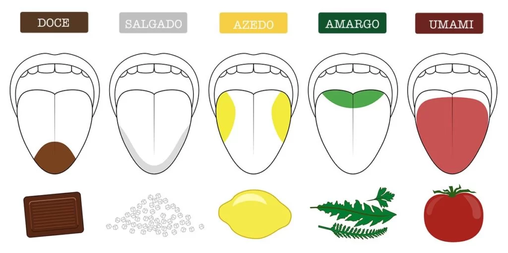o&nbsp;umami ativa receptores espalhados por toda a língua e até pela garganta.
